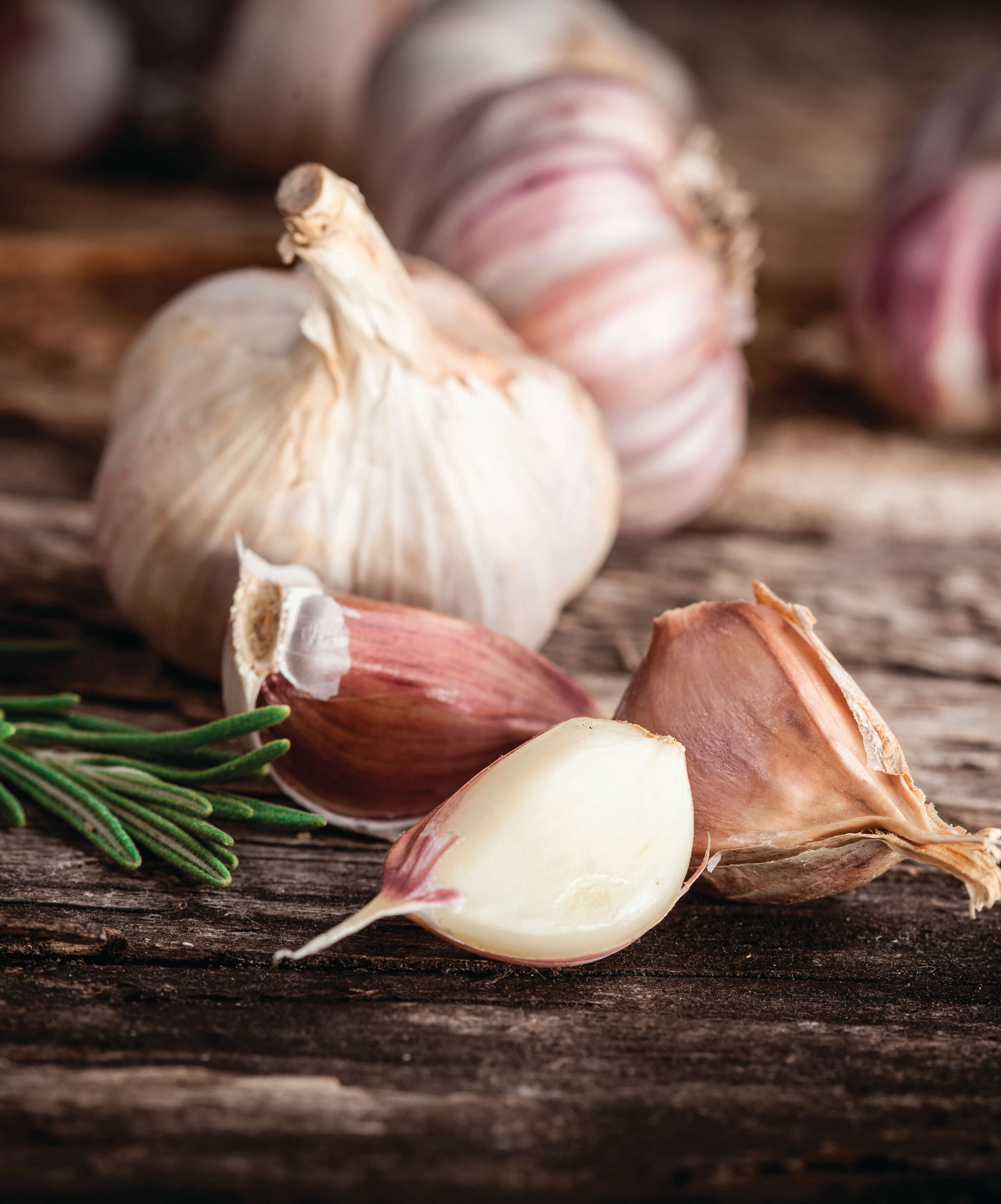 What We&#8217;re Eating &#8211; Garlic