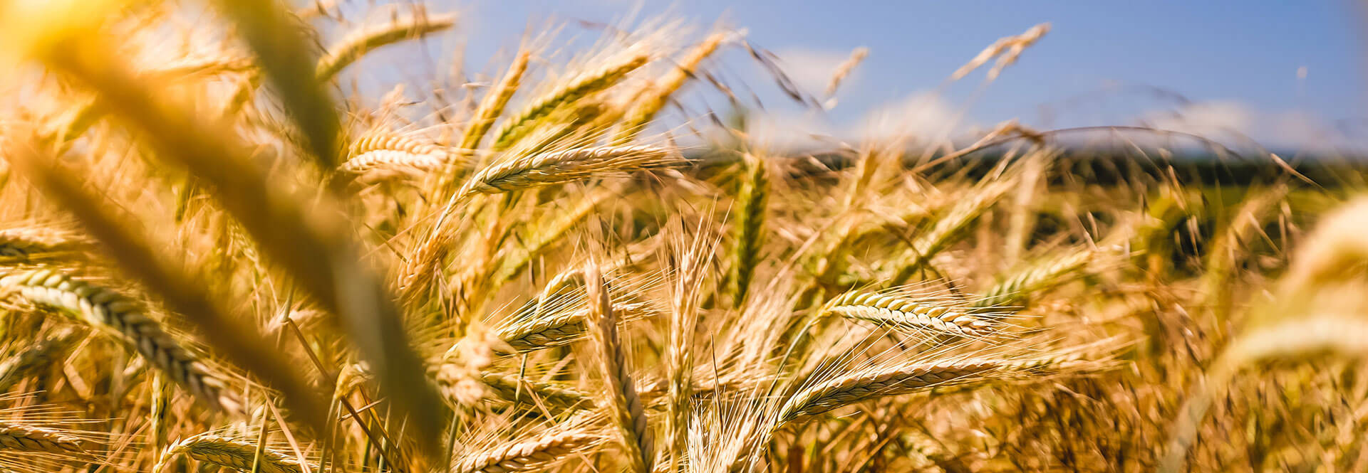 Our Farmers - Natures Fare